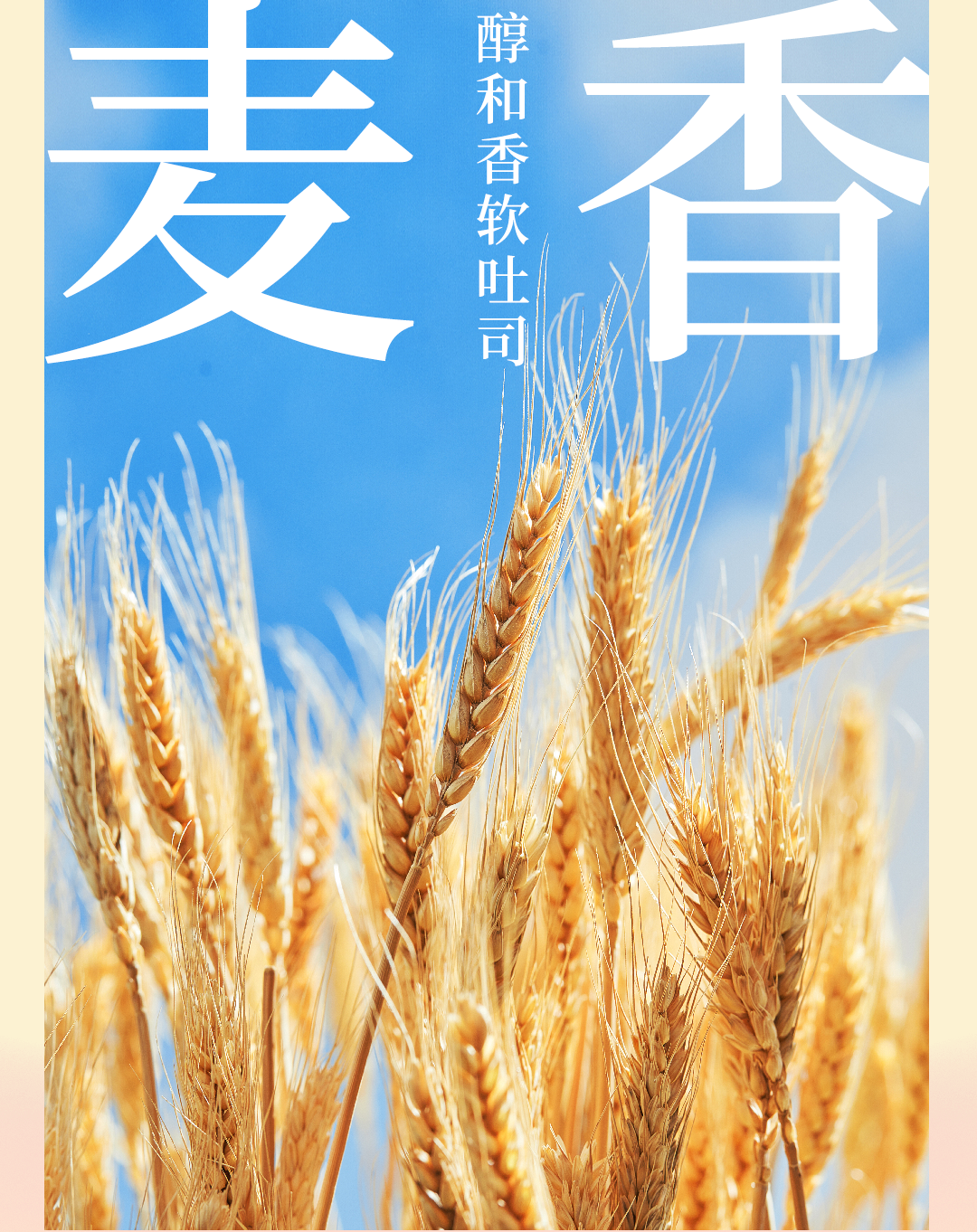 蒜香黄油推文_05.png